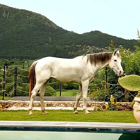 Kassandra Heritage Hotel *